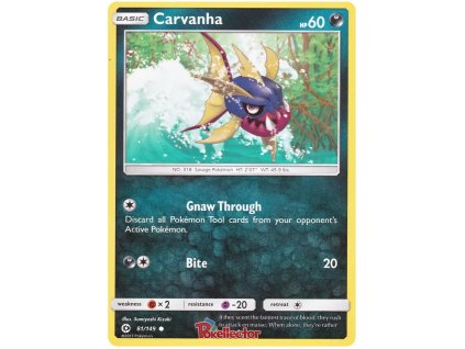 CUC 081 Carvanha.SM1.81.13637