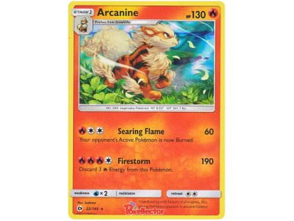 R 022 Arcanine.SM1.22.13584