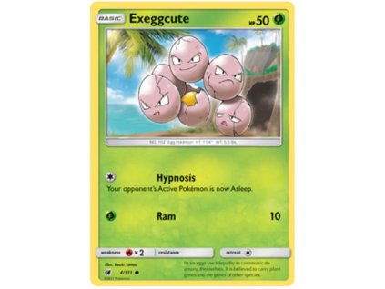 C004Exeggcute.CNV.4.19697