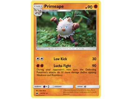 R051Primeape.CNV.51.19743