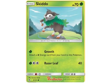 C009Skiddo.FLI.9.20715