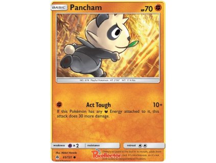 C065Pancham.FLI.65.20768