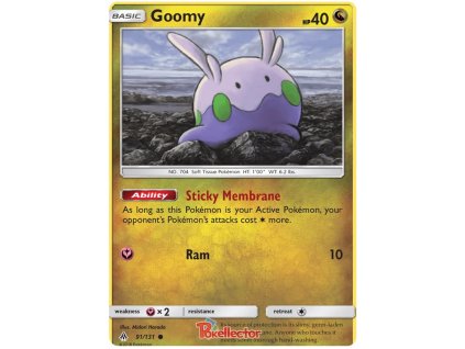C091Goomy.FLI.91.20791