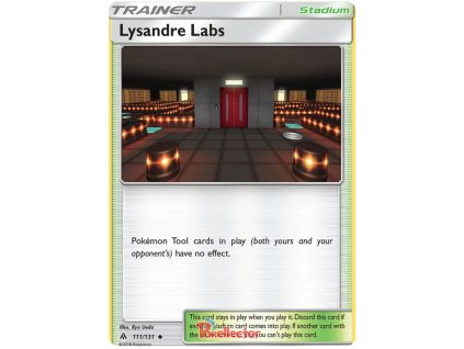 C111Lysandre Labs.FLI.111.20810
