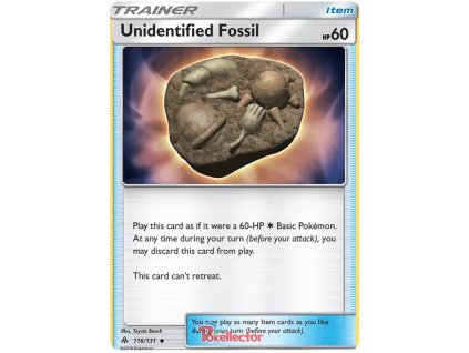 C116Unidentified Fossil.FLI.116.20814