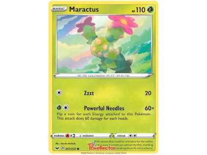 C007Maractus.SH01.7.31432