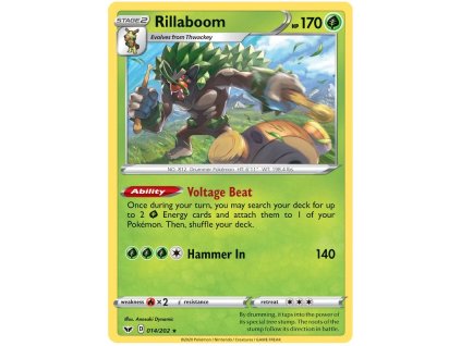R014Rillaboom.SH01.14.31273
