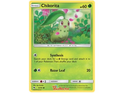 C005Chikorita.LOT.5.24589