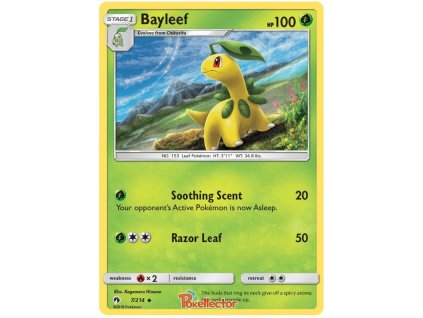 C007Bayleef.LOT.7.24591