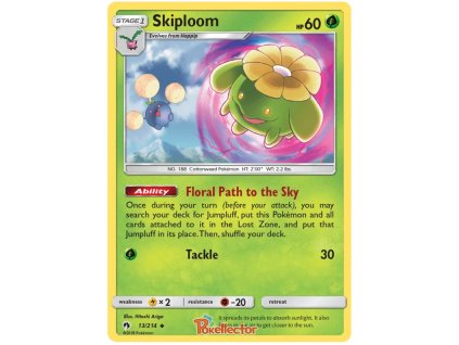 C013Skiploom.LOT.13.24597