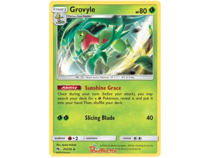 C021Grovyle.LOT.21.24604