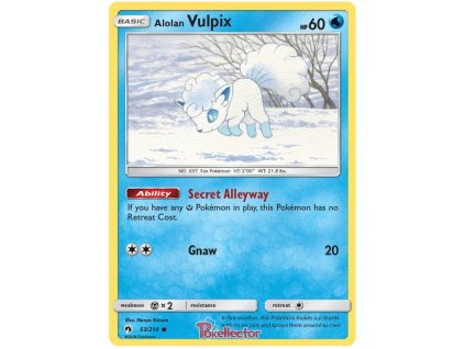 C053Alolan Vulpix.LOT.53.24635