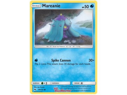 C068Mareanie.LOT.68.24649