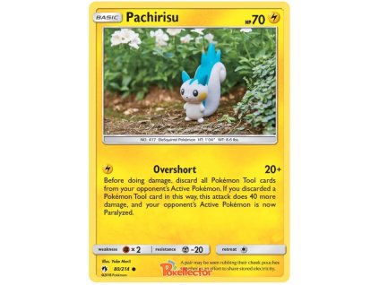 C080Pachirisu.LOT.80.24661