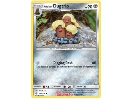 C123Alolan Dugtrio.LOT.123.24702
