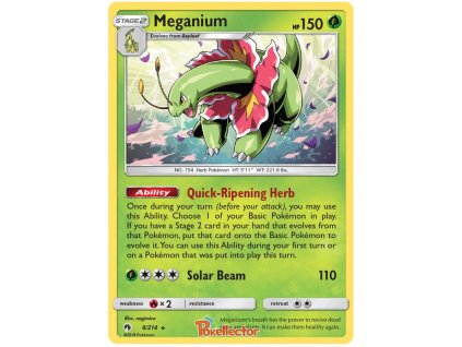 R008Meganium.LOT.8.24592