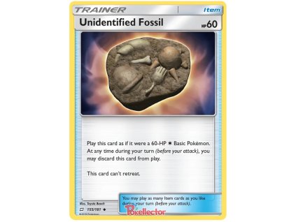 C155Unidentified Fossil.SM9.155.26643