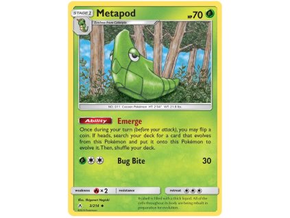 C003Metapod.UNB.3.28110