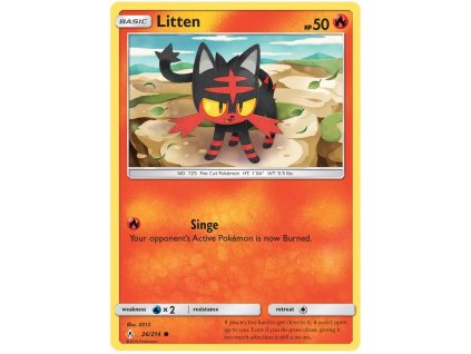 C026Litten.UNB.26.28131