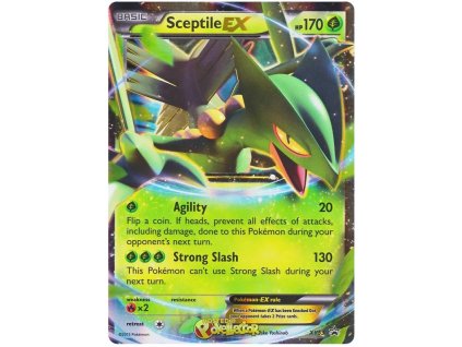 XY53Sceptile EX.XY.53