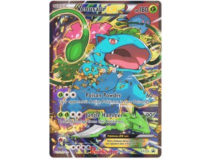 XY123Venusaur EX.XY.123