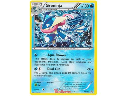 XY162Greninja.XY.162