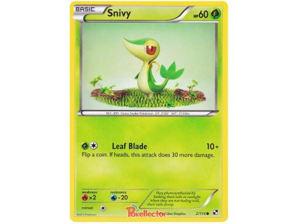 C002Snivy.BLW.2