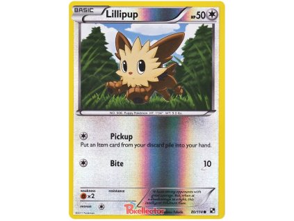 C080Lillipup.BLW.80