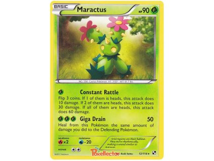 R012Maractus.BLW.12