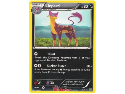 R067Liepard.BLW.67