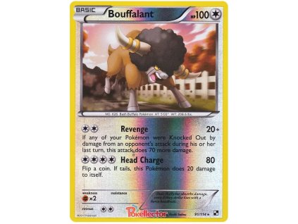 R091Bouffalant.BLW.91