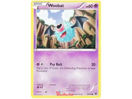 C036Woobat.EPO.36
