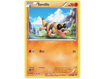 C060Sandile.EPO.60