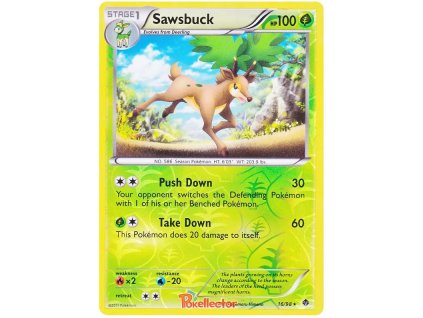 R016Sawsbuck.EPO.16