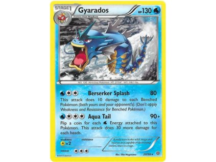 R020Gyarados.AOR.20