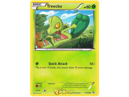C006Treecko.PCL.6