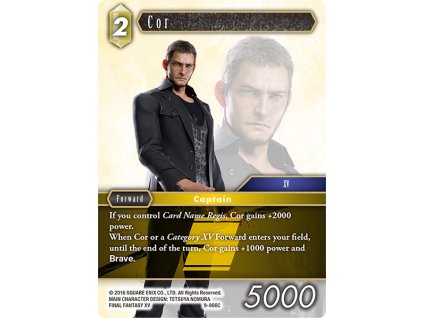 9 066C egCor