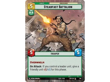 CSWH 01 380 Steadfast Battalion HYP 5a60e5eae6