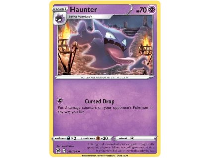 Haunter.SWSH10.65.44725