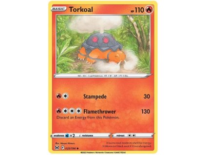 Torkoal.SWSH10.23.44684