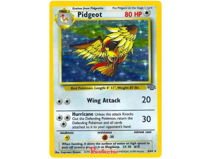 R008Pidgeot.JU.8