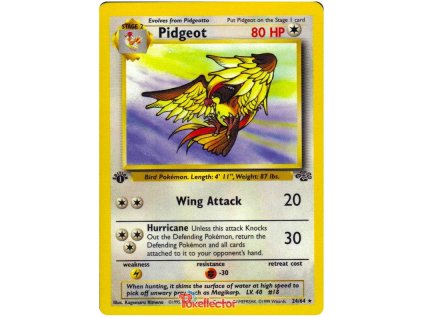 R024Pidgeot.JU.24