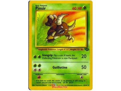 R025Pinsir.JU.25