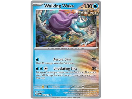 R063Walking Wake.TWM.63.53217