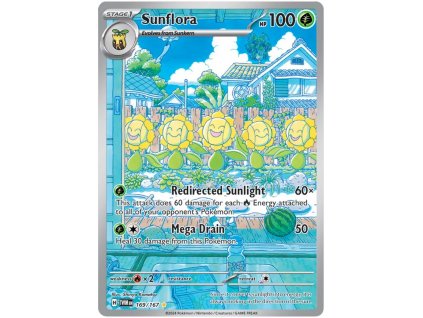 U169Sunflora.TWM.169.53316