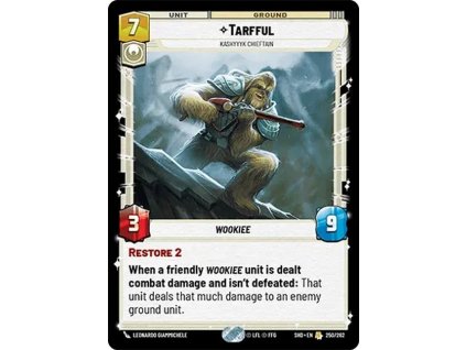 R250 0201250 EN Tarfful a96987a562