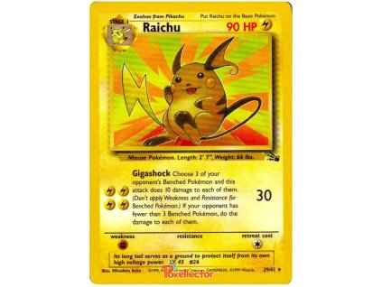 R029Raichu.FO.29