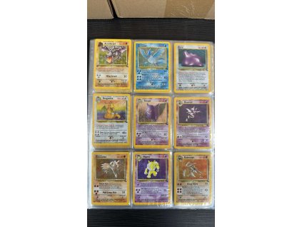 487874690 2054982414989540 4650646952690259790 n