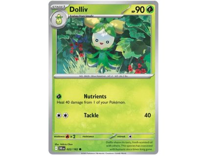 Dolliv.DRI.22.57288
