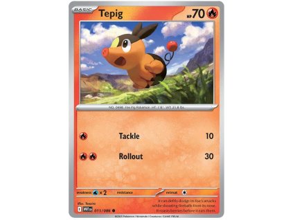 Tepig.WHT.11.58021